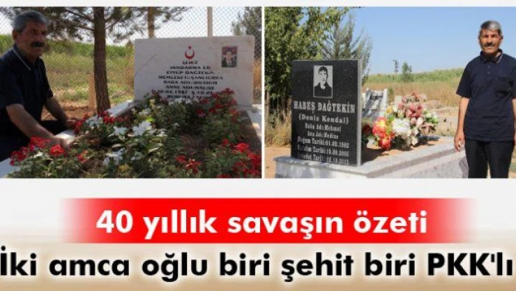 Yan yana iki amca oğlu biri PKK'lı biri şehit!