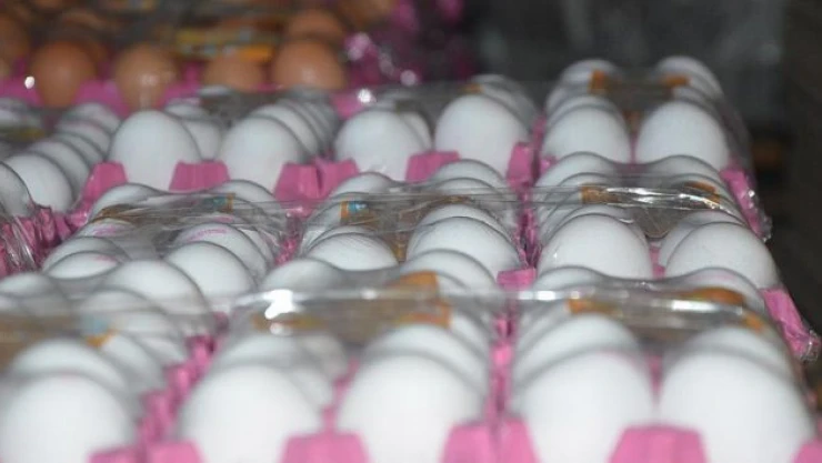 Yumurta satışında yeni dönem başlıyor