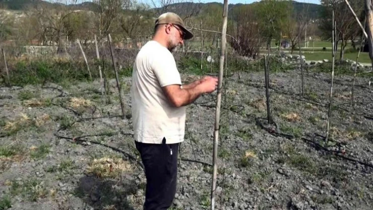 Yurt dışında gördüğü meyveyi yetiştirmeye başladı, yılda 300 bin TL kazanmayı hedefliyor
