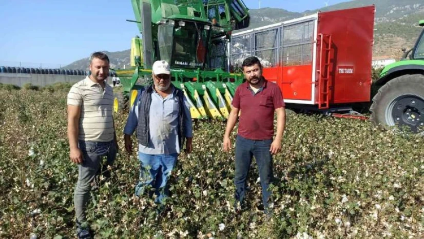 Türkiye'nin pamuk ambarı Söke'de 'beyaz altın' hasadı başladı